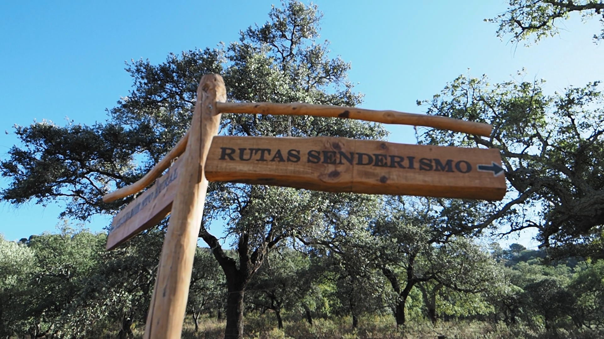 Ruta Gastronómica